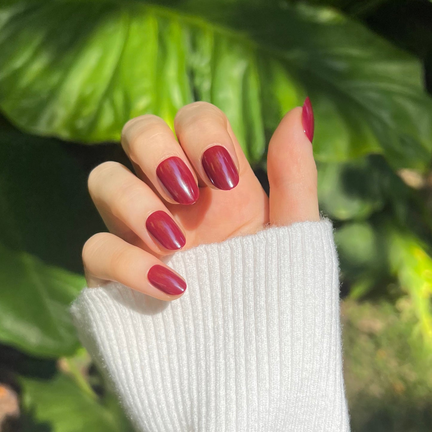 Cherry Crush (Short Oval)